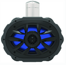 boss 6" x 9" 4-way waketower speaker system w-rgb led lights
